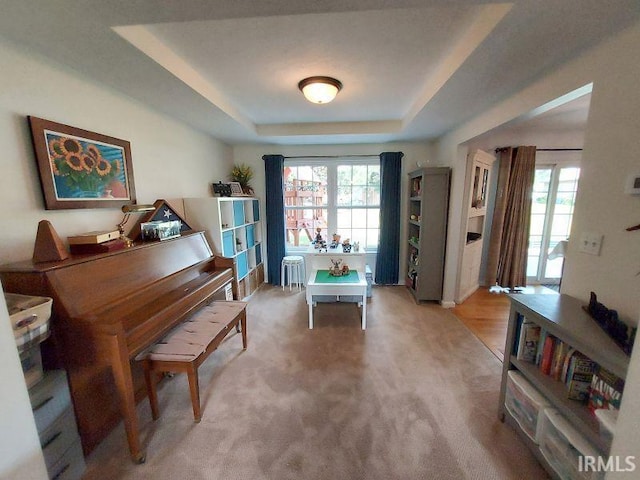 394 Saint Charles St, Jasper, IN 47546 - living area with a tray ceiling and light carpet