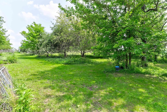 9469 W Sinclair Rd, Birdseye, IN 47513 - view of green lawn