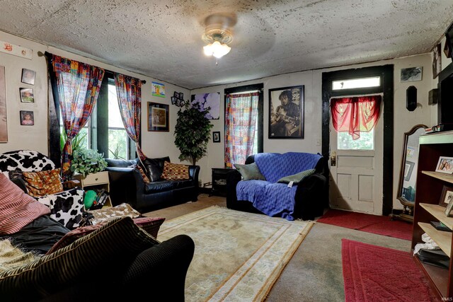 9469 W Sinclair Rd, Birdseye, IN 47513 - living room with carpet and a textured ceiling
