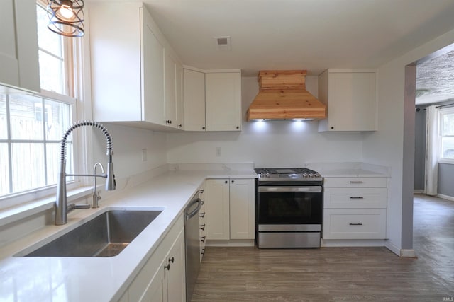 52589 Lilac Rd, South Bend, IN 46628 - kitchen with stainless steel appliances, a sink, premium range hood, and white cabinetry