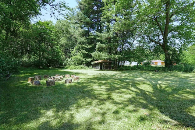 52589 Lilac Rd, South Bend, IN 46628 - view of grassy yard