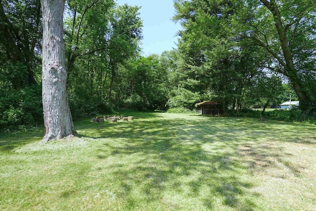 52589 Lilac Rd, South Bend, IN 46628 - view of grassy yard featuring a view of trees