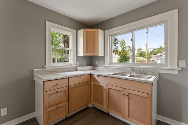 1815 E Bowman St, South Bend, IN 46613 - kitchen featuring a sink, light countertops, light brown cabinetry, and dark wood-type flooring