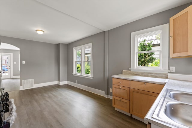1815 E Bowman St, South Bend, IN 46613 - kitchen with light countertops, plenty of natural light, arched walkways, and dark wood finished floors