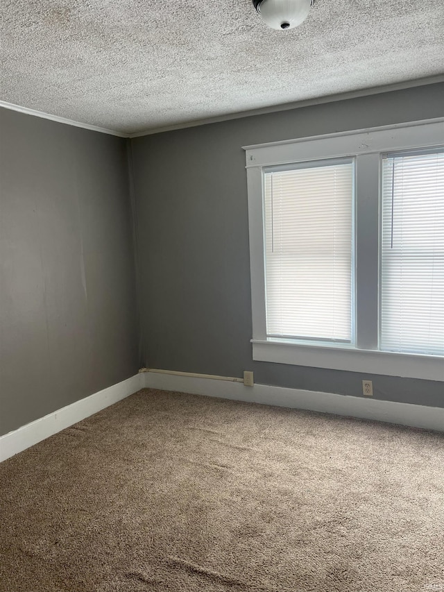 1118 N Webster St, Kokomo, IN 46901 - carpeted empty room with a textured ceiling and baseboards