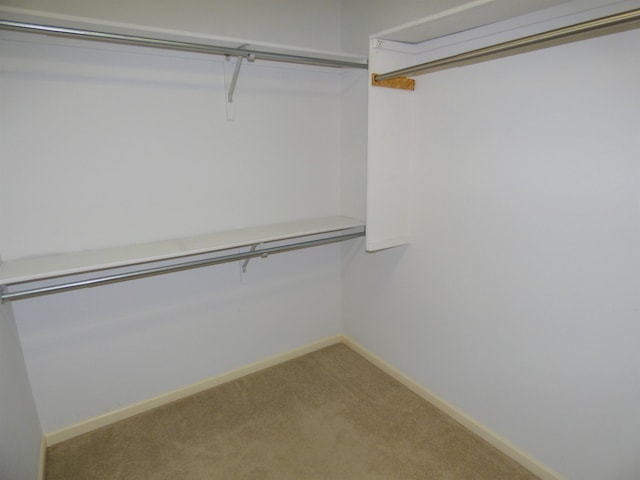 8202 Red Shank Ln, Fort Wayne, IN 46825 - walk in closet featuring carpet