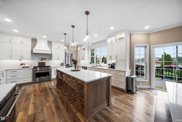 14609 Carrigan Ct, Granger, IN 46530 - kitchen featuring high end stainless steel range oven, custom range hood, dark wood-type flooring, backsplash, and recessed lighting