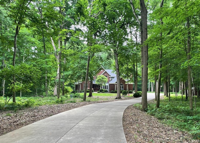 2307 Stacey Hollow Pl, Lafayette, IN 47905 - view of property's community featuring curved driveway