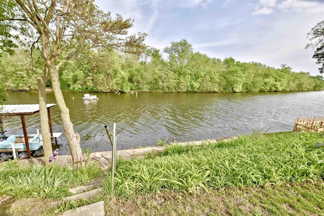 8020 N W Shafer Dr, Monticello, IN 47960 - dock featuring a water view and a forest view