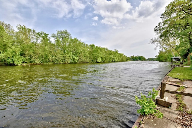 8020 N W Shafer Dr, Monticello, IN 47960 - water view with a forest