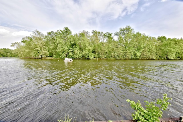 8020 N W Shafer Dr, Monticello, IN 47960 - water view featuring a heavily wooded area