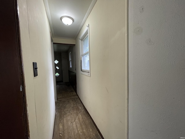 2405 Clara Ave, Fort Wayne, IN 46805 - hallway featuring wood finished floors