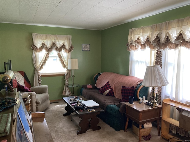 39 E Linn Rd, Bluffton, IN 46714 - living room with plenty of natural light and carpet flooring