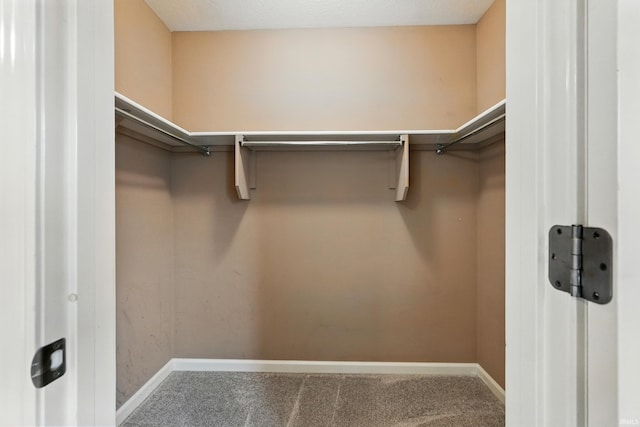 1328 Monte Carlo Dr, Huntertown, IN 46748 - spacious closet with carpet flooring