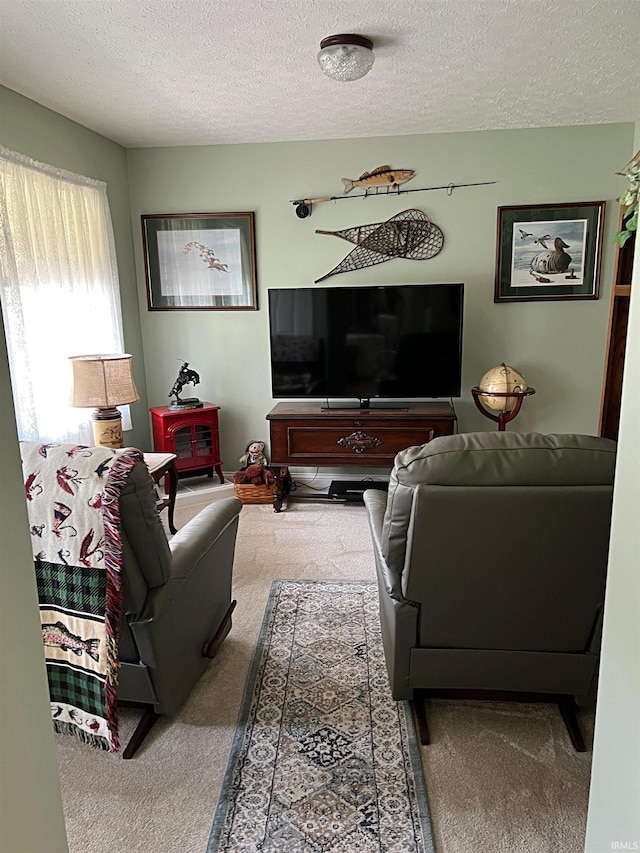 1976 Oak St, Linton, IN 47441 - living room with carpet flooring and a textured ceiling