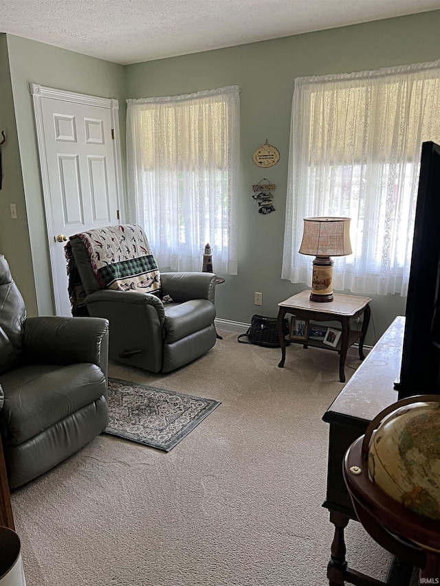 1976 Oak St, Linton, IN 47441 - living area with healthy amount of natural light, carpet floors, a textured ceiling, and baseboards