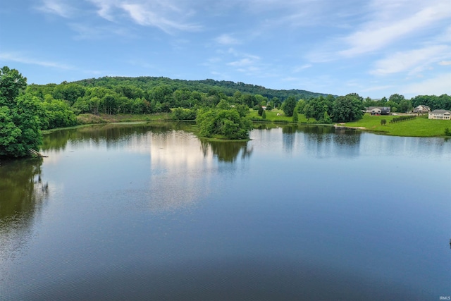 0 Creekview Ln, Cannelton, IN 47520 - water view with a heavily wooded area