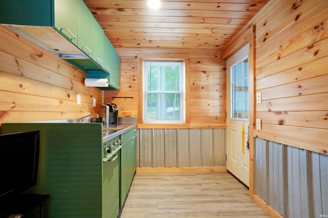 0 Creekview Ln, Cannelton, IN 47520 - kitchen with green cabinets, light wood-type flooring, wood ceiling, and wood walls