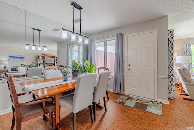 4635 S Bellamy Blvd, Marion, IN 46953 - dining room with light wood-style floors, plenty of natural light, and a textured ceiling