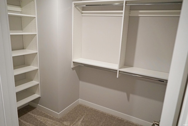 19 Conner St, Wabash, IN 46992 - walk in closet featuring carpet flooring