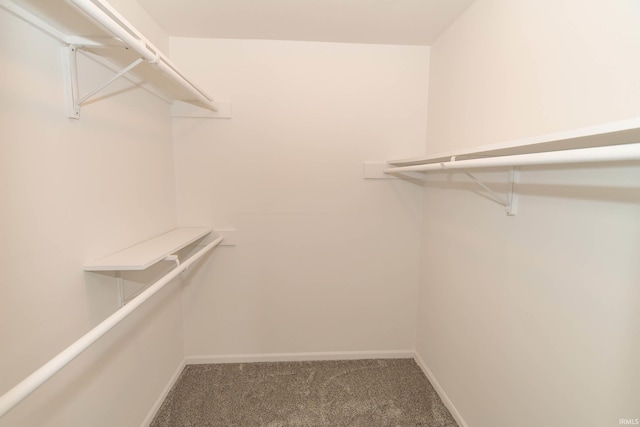 1307 Cassopolis St, Elkhart, IN 46514 - walk in closet with carpet floors