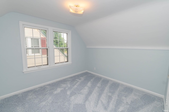 1307 Cassopolis St, Elkhart, IN 46514 - additional living space with lofted ceiling, baseboards, and carpet floors