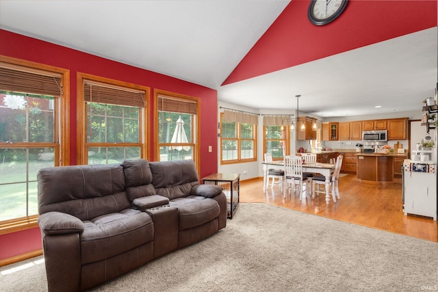 58679 Baugo Xing, Elkhart, IN 46517 - living room featuring vaulted ceiling and light wood-style floors