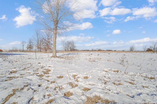 4627 E 100th Hwy N, Monticello, IN 47960 - view of yard layered in snow