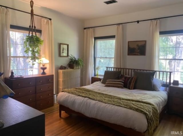 5425 Lincoln Ave, Evansville, IN 47715 - bedroom featuring multiple windows, wood finished floors, and radiator heating unit