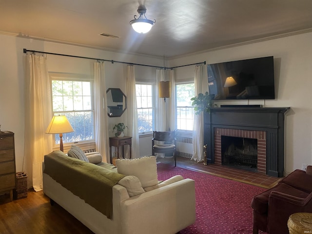 5425 Lincoln Ave, Evansville, IN 47715 - living room with radiator, a fireplace, and ornamental molding