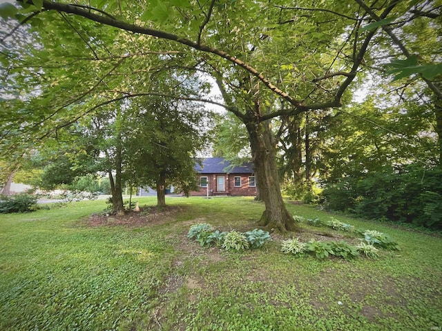 5425 Lincoln Ave, Evansville, IN 47715 - view of green lawn