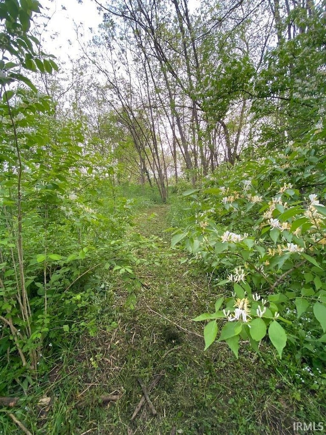 14450 Milton Rd, Milton, IN 47357