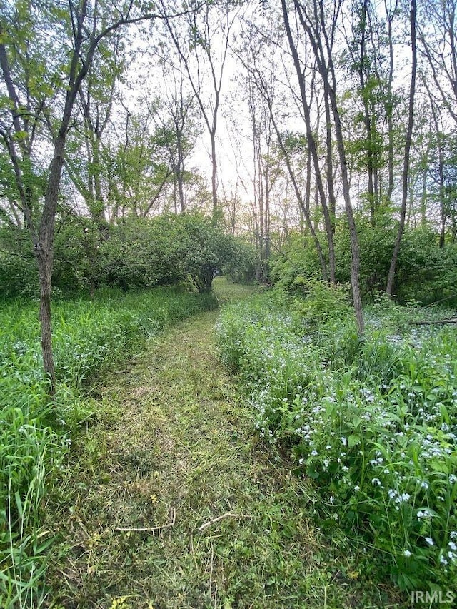 14450 Milton Rd, Milton, IN 47357