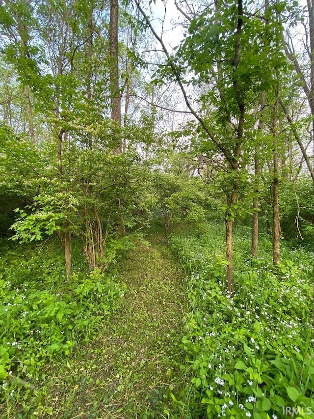 14450 Milton Rd, Milton, IN 47357