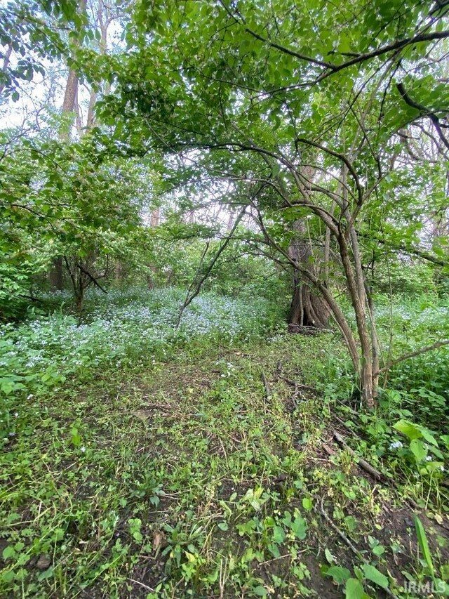 14450 Milton Rd, Milton, IN 47357