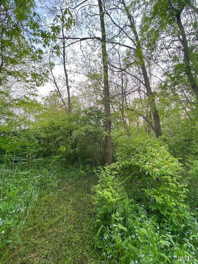 14450 Milton Rd, Milton, IN 47357