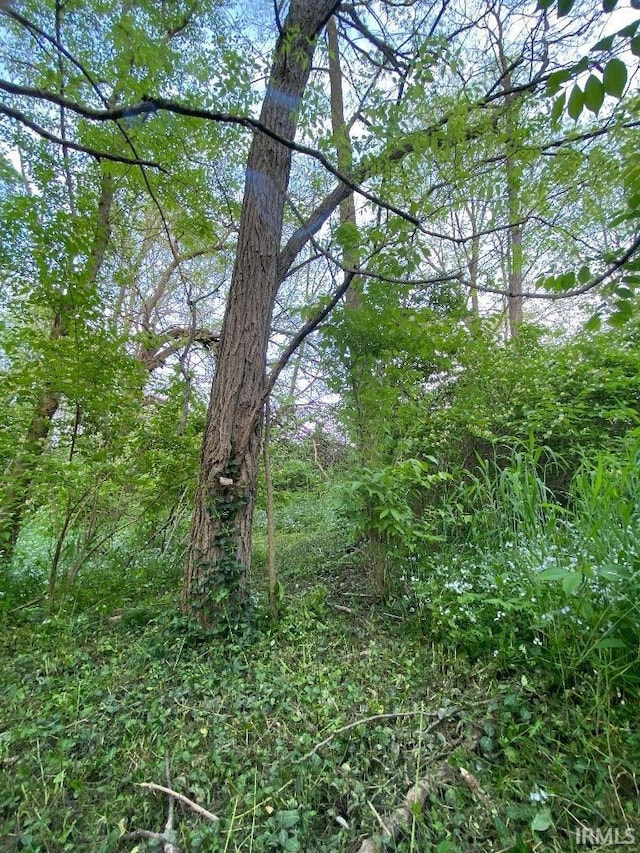 14450 Milton Rd, Milton, IN 47357