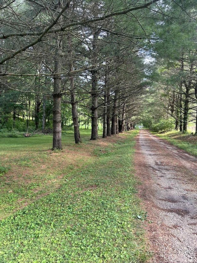 3559 W County Road 775 N, Orleans, IN 47452 - view of dirt / gravel road