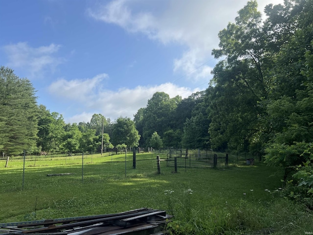3559 W County Road 775 N, Orleans, IN 47452 - view of yard