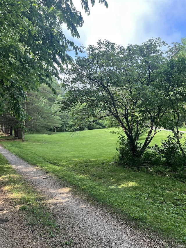 3559 W County Road 775 N, Orleans, IN 47452 - view of green lawn