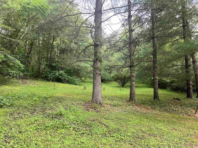 3559 W County Road 775 N, Orleans, IN 47452 - view of grassy yard featuring a forest view