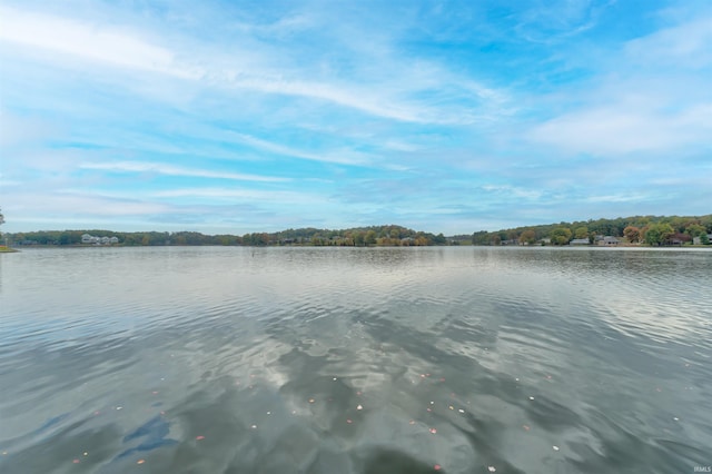 50 Reindeer Cir, Santa Claus, IN 47579 - water view