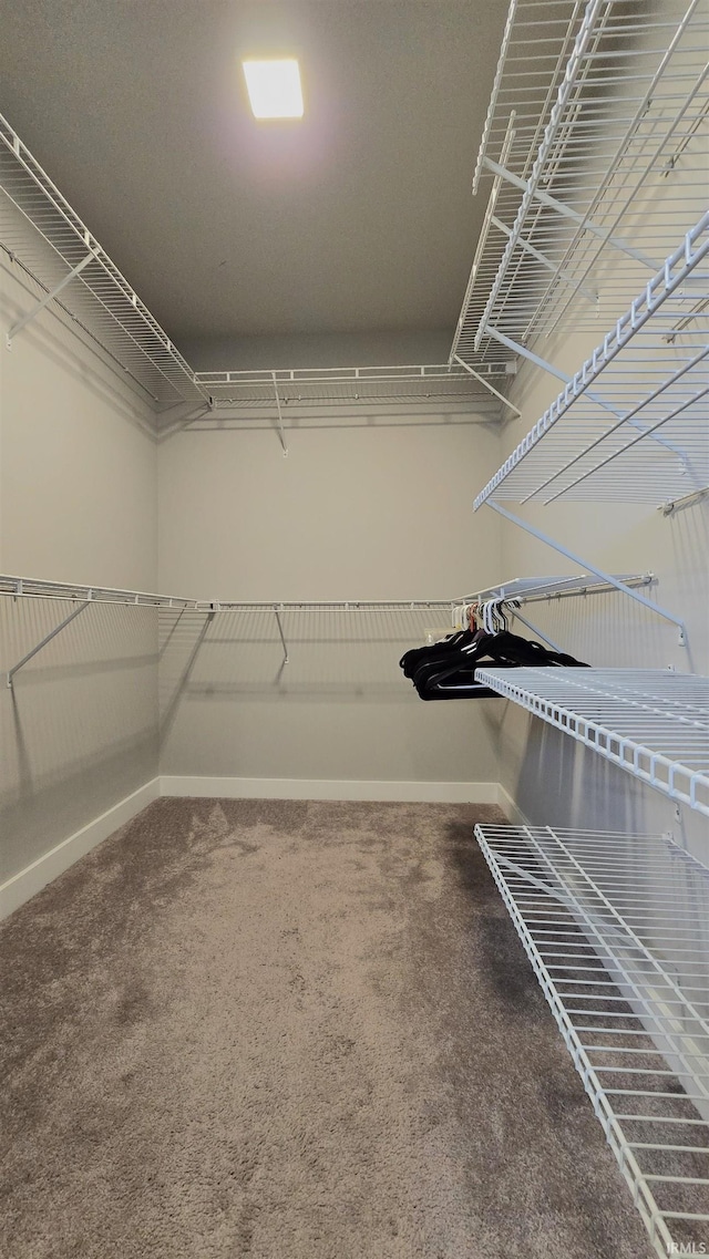 916 Cameo Dr, Evansville, IN 47711 - spacious closet with carpet flooring