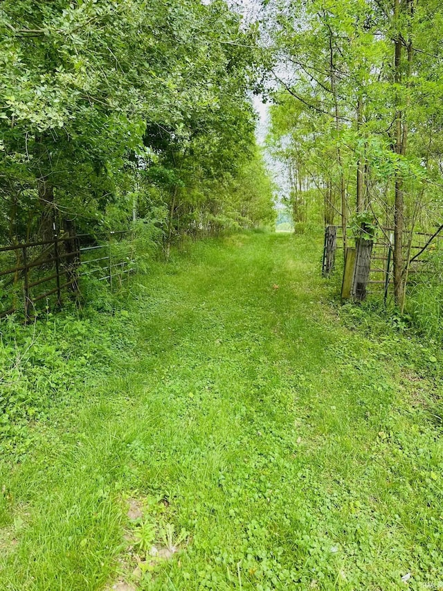 3780 Thorn Rd, Walkerton, IN 46574 - view of yard