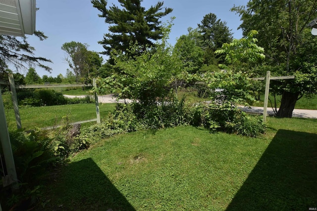 1200 S Longwood Dr, Bloomington, IN 47401 - view of grassy yard