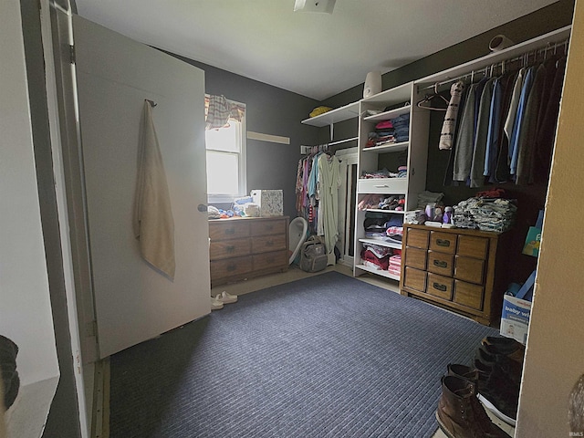220 W Main St, Greentown, IN 46936 - walk in closet with carpet