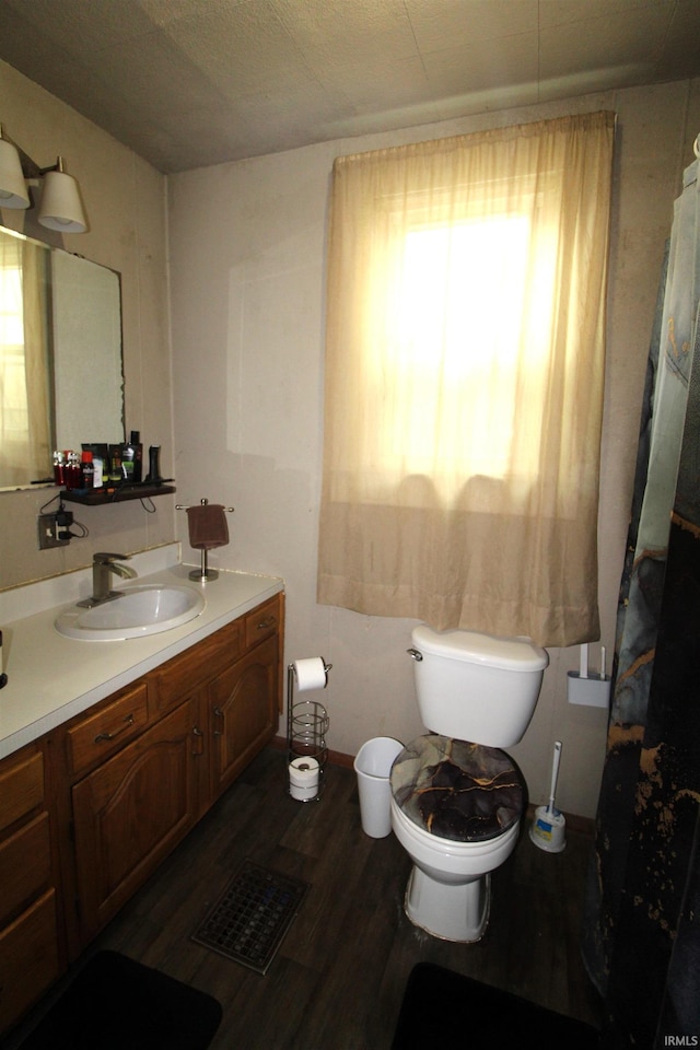 102 E Howard St, Galveston, IN 46932 - full bathroom featuring vanity, wood finished floors, toilet, and a shower with shower curtain