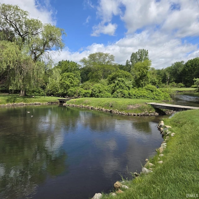 17295 Willowbrook St, South Bend, IN 46635 - water view with a forest