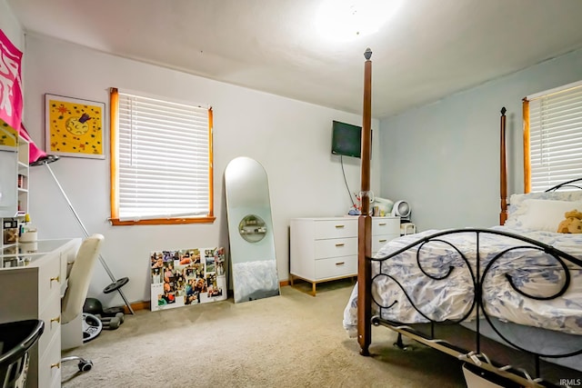 6613 E Hickory Ln, Muncie, IN 47303 - carpeted bedroom with multiple windows