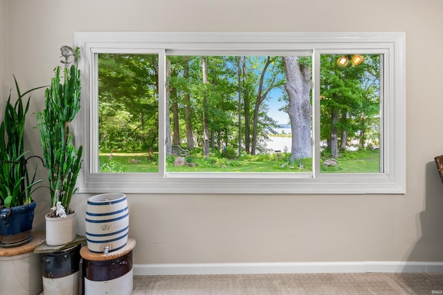 6521 Snug Harbour Ln, Unionville, IN 47468 - detailed view of baseboards, a nearby body of water, and carpet floors
